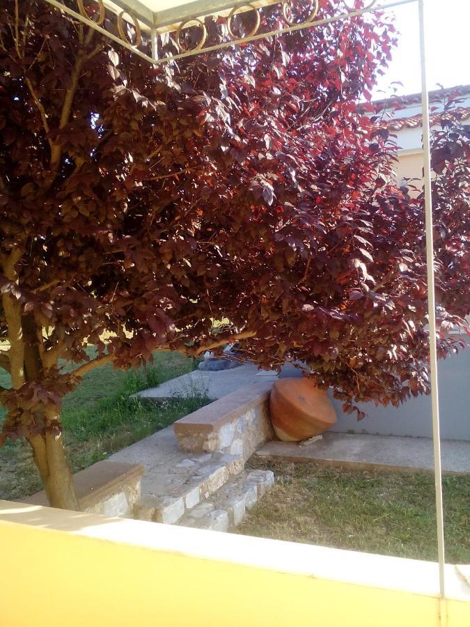 Studios Στουσ Πυργουσ Θερμησ Mytilíni Kültér fotó